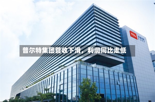 普尔特集团营收下滑，利润同比走低-第2张图片