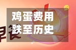 鸡蛋费用跌至历史低位	，卡尔梅因食品营收大幅下滑-第3张图片