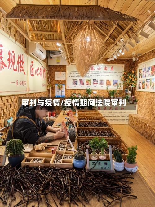 审判与疫情/疫情期间法院审判