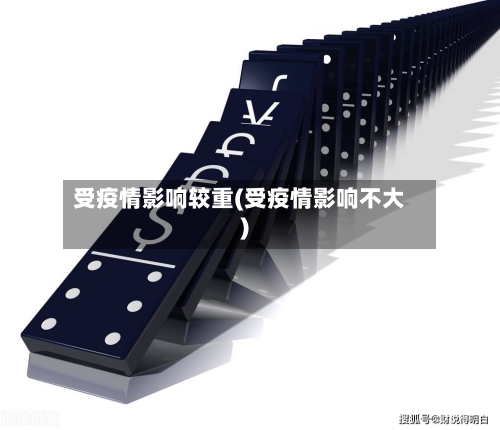 受疫情影响较重(受疫情影响不大)
