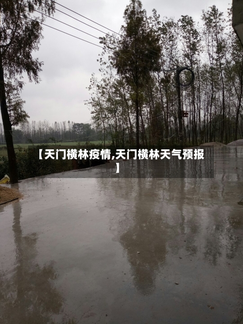 【天门横林疫情,天门横林天气预报】