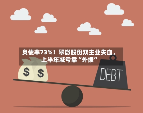 负债率73%！翠微股份双主业失血，上半年减亏靠“外援”-第3张图片