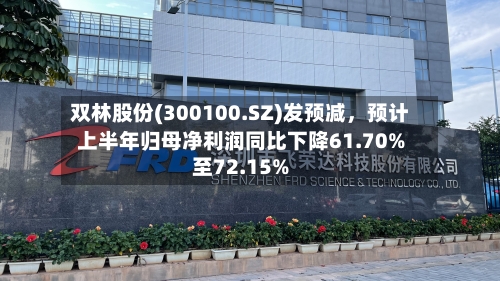 双林股份(300100.SZ)发预减，预计上半年归母净利润同比下降61.70%至72.15%-第2张图片