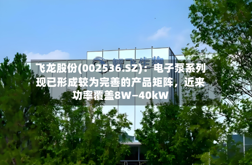 飞龙股份(002536.SZ)：电子泵系列现已形成较为完善的产品矩阵	，近来功率覆盖8W―40kW-第2张图片