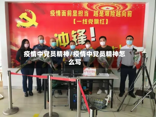 疫情中党员精神/疫情中党员精神怎么写