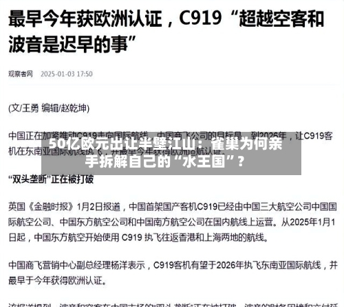 50亿欧元出让半壁江山：雀巢为何亲手拆解自己的“水王国”？-第3张图片