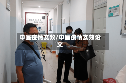 中医疫情实效/中医疫情实效论文