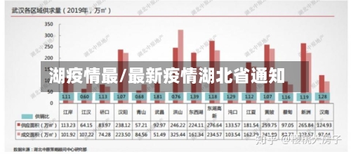 湖疫情最/最新疫情湖北省通知-第3张图片