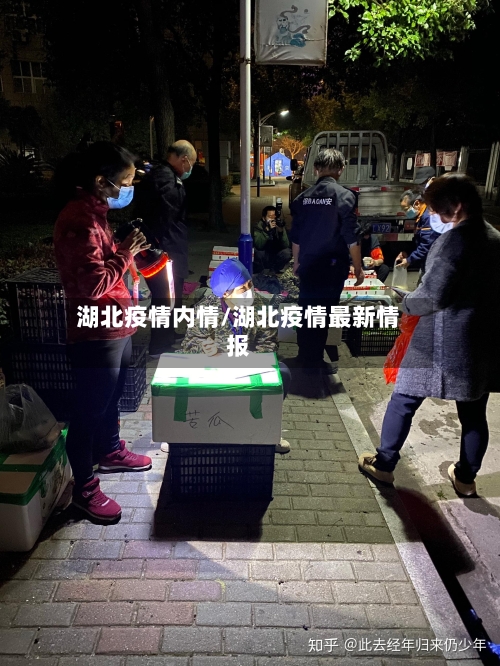 湖北疫情内情/湖北疫情最新情报-第3张图片