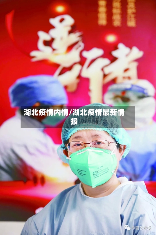 湖北疫情内情/湖北疫情最新情报-第2张图片