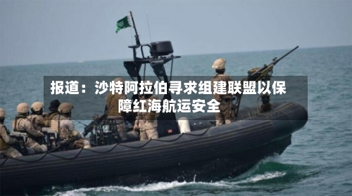 报道：沙特阿拉伯寻求组建联盟以保障红海航运安全