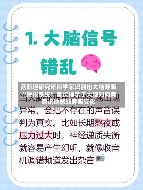 范斯坦研究所科学家识别出大脑呼吸“警报系统” 首次揭示了大脑如何有意识地感知呼吸变化