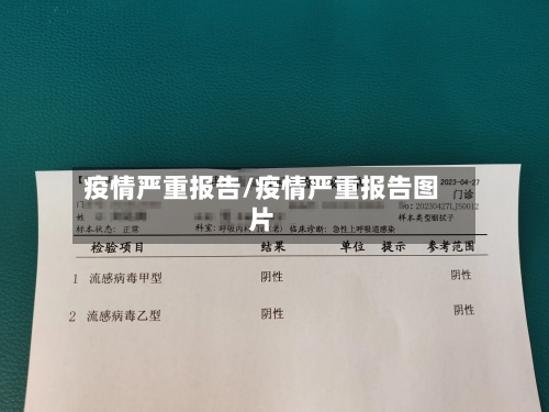 疫情严重报告/疫情严重报告图片-第2张图片