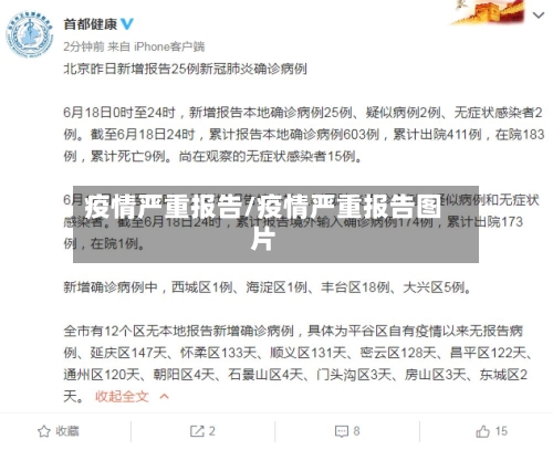 疫情严重报告/疫情严重报告图片