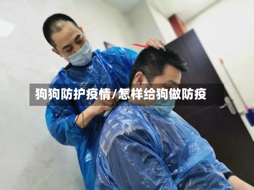 狗狗防护疫情/怎样给狗做防疫