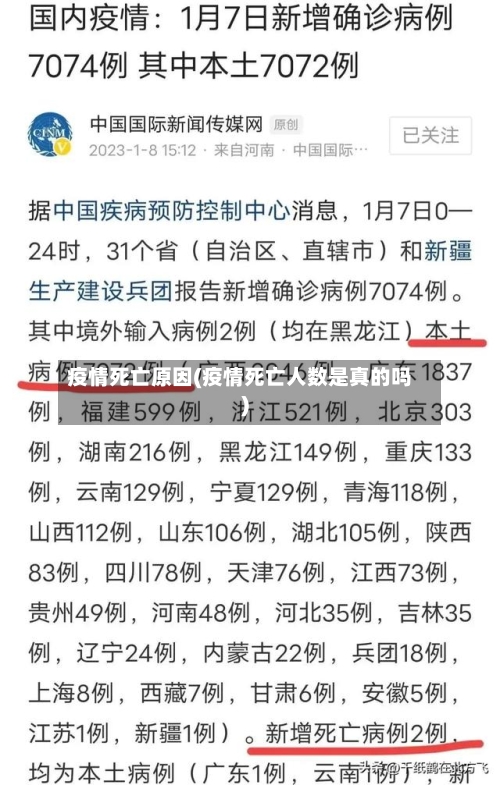 疫情死亡原因(疫情死亡人数是真的吗)