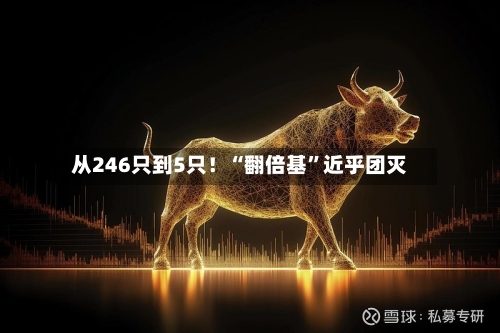 从246只到5只！“翻倍基”近乎团灭-第2张图片