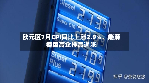 欧元区7月CPI同比上涨2.9%，能源费用持续高企推高通胀-第2张图片