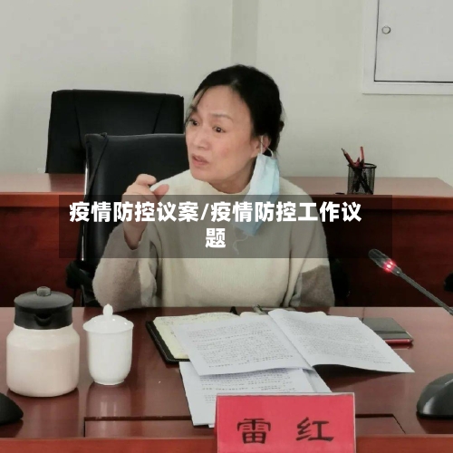 疫情防控议案/疫情防控工作议题-第2张图片