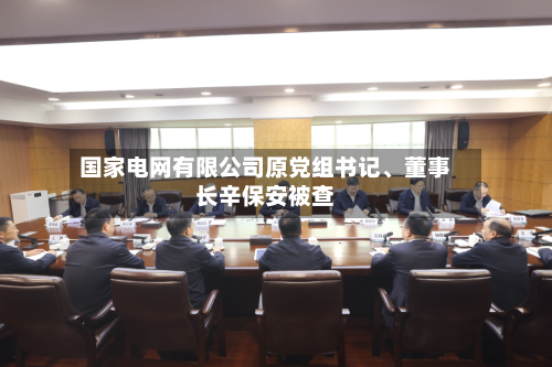 国家电网有限公司原党组书记、董事长辛保安被查-第2张图片