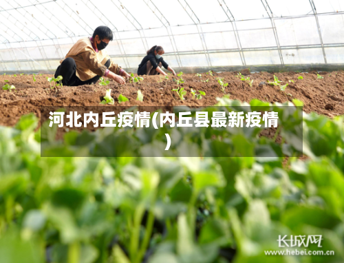 河北内丘疫情(内丘县最新疫情)