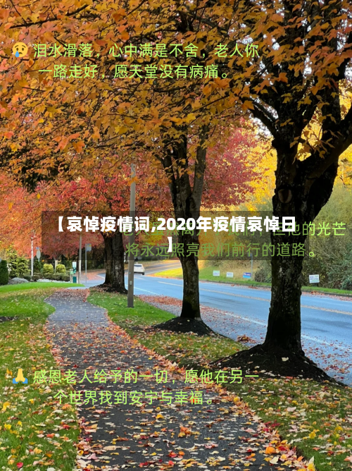 【哀悼疫情词,2020年疫情哀悼日】-第3张图片
