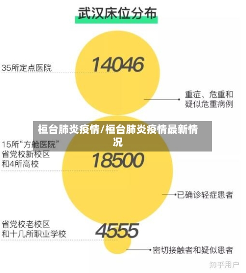 桓台肺炎疫情/桓台肺炎疫情最新情况-第2张图片