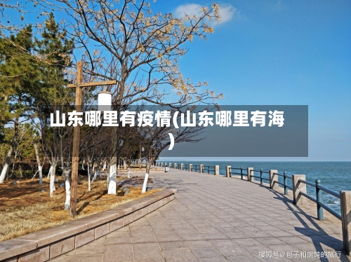 山东哪里有疫情(山东哪里有海)
