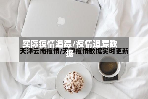 实际疫情追踪/疫情追踪数据-第2张图片