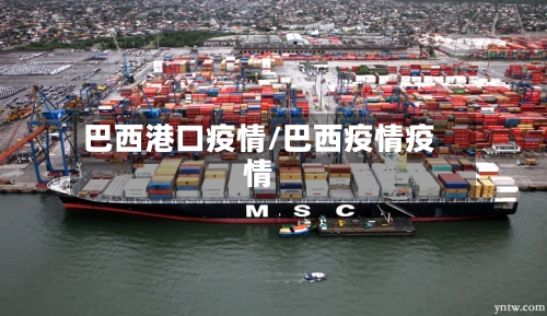 巴西港口疫情/巴西疫情疫情