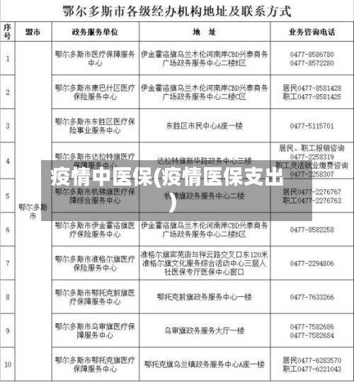 疫情中医保(疫情医保支出)-第2张图片