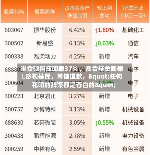 重仓硬科技回撤37% 	，嘉合基金陶棣溦珍视基民，写信道歉，"任何花哨的辞藻都是苍白的"-第2张图片
