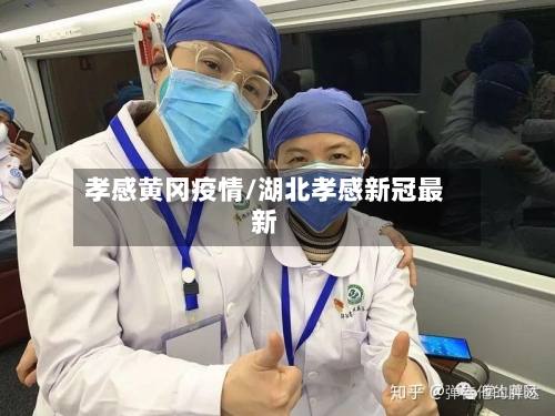 孝感黄冈疫情/湖北孝感新冠最新-第3张图片