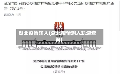 湖北疫情输入(湖北疫情输入轨迹查询)