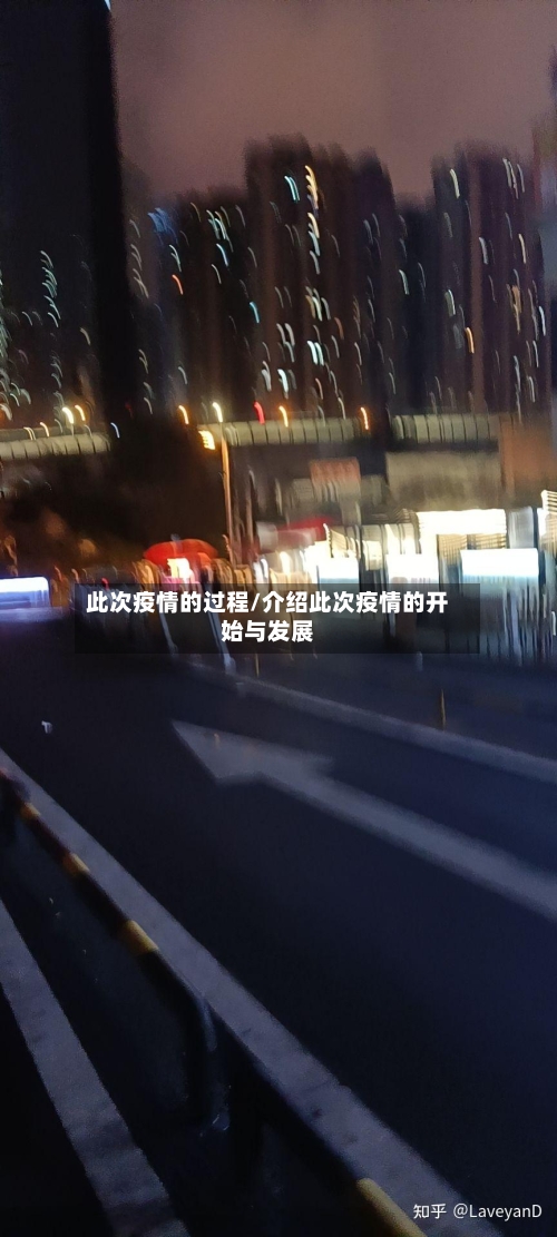 此次疫情的过程/介绍此次疫情的开始与发展