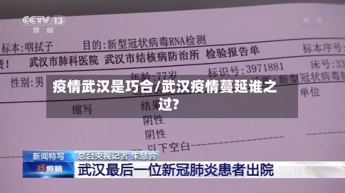 疫情武汉是巧合/武汉疫情蔓延谁之过?