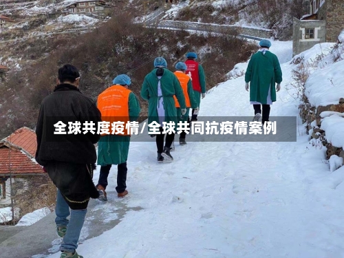 全球共度疫情/全球共同抗疫情案例