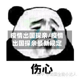 疫情出国探亲/疫情出国探亲最新规定-第2张图片