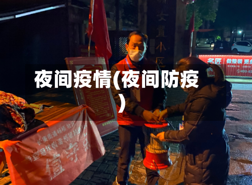 夜间疫情(夜间防疫)