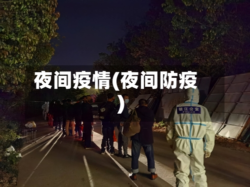 夜间疫情(夜间防疫)-第3张图片