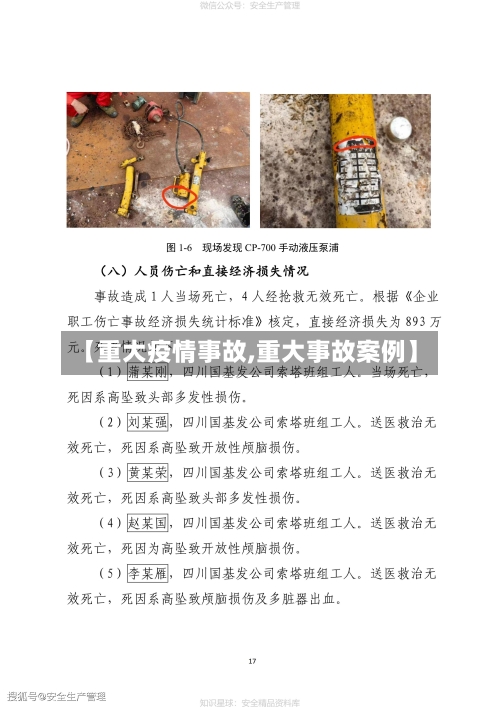 【重大疫情事故,重大事故案例】