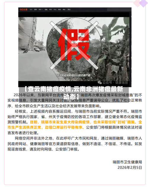 【查云南猪瘟疫情,云南非洲猪瘟最新动态】-第2张图片