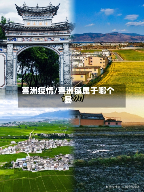 喜洲疫情/喜洲镇属于哪个县-第2张图片