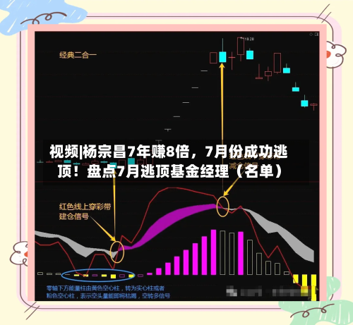 视频|杨宗昌7年赚8倍，7月份成功逃顶！盘点7月逃顶基金经理（名单）-第2张图片