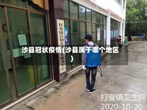 沙县冠状疫情(沙县属于哪个地区)-第3张图片
