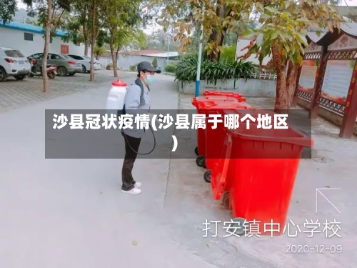 沙县冠状疫情(沙县属于哪个地区)-第2张图片
