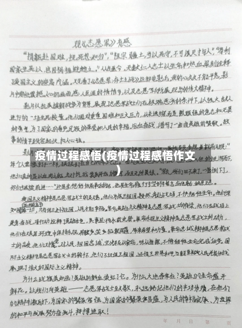 疫情过程感悟(疫情过程感悟作文)-第2张图片