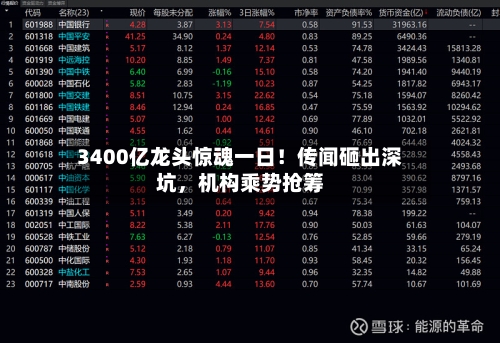 3400亿龙头惊魂一日！传闻砸出深坑	，机构乘势抢筹-第2张图片