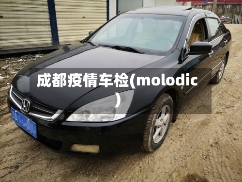 成都疫情车检(molodic)-第2张图片