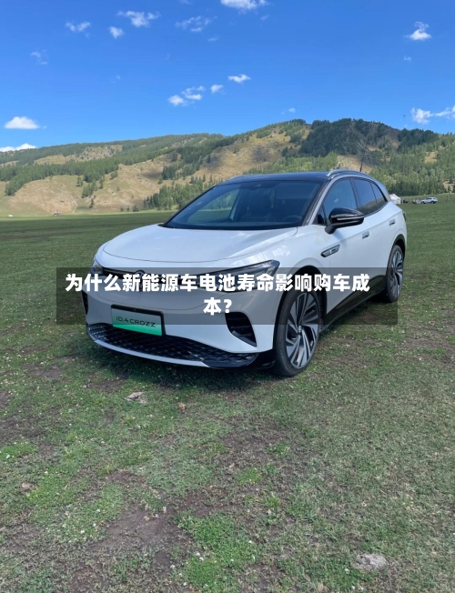 为什么新能源车电池寿命影响购车成本？-第2张图片
